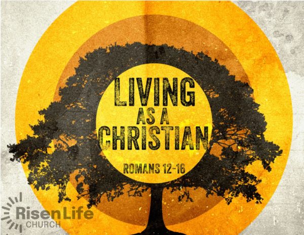 Living as a Christian Pt 13 Image
